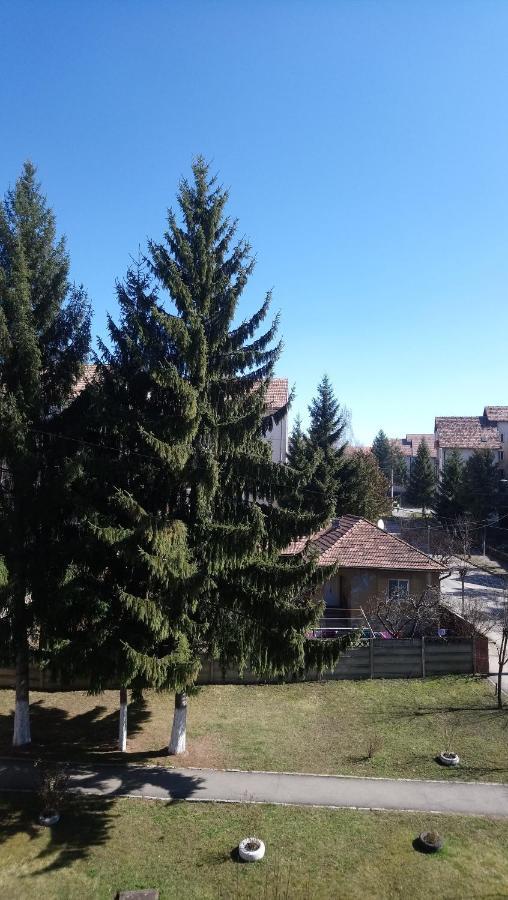 Simple And Comfortable Apartment Miercurea Ciuc Exterior photo